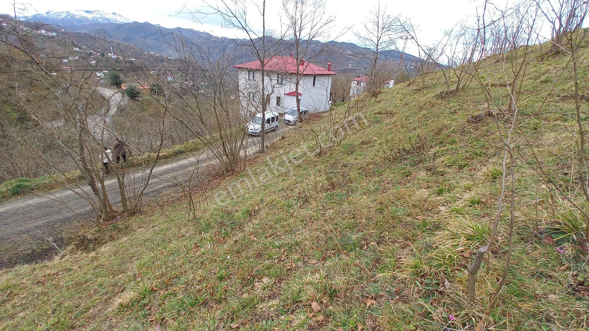 Beşikdüzü Ağaçlı'da Satılık 1.928 M2 Arazi - Görsel 8