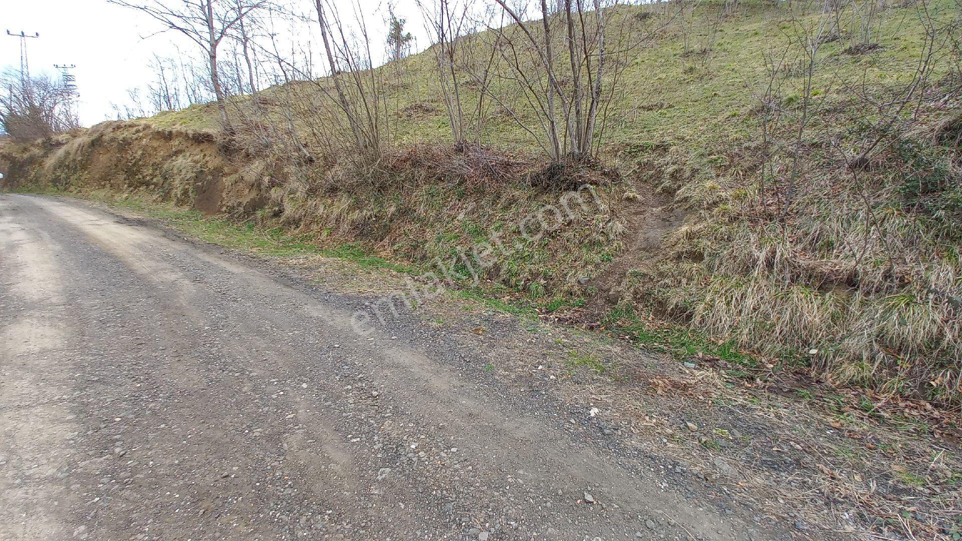Beşikdüzü Ağaçlı'da Satılık 1.928 M2 Arazi