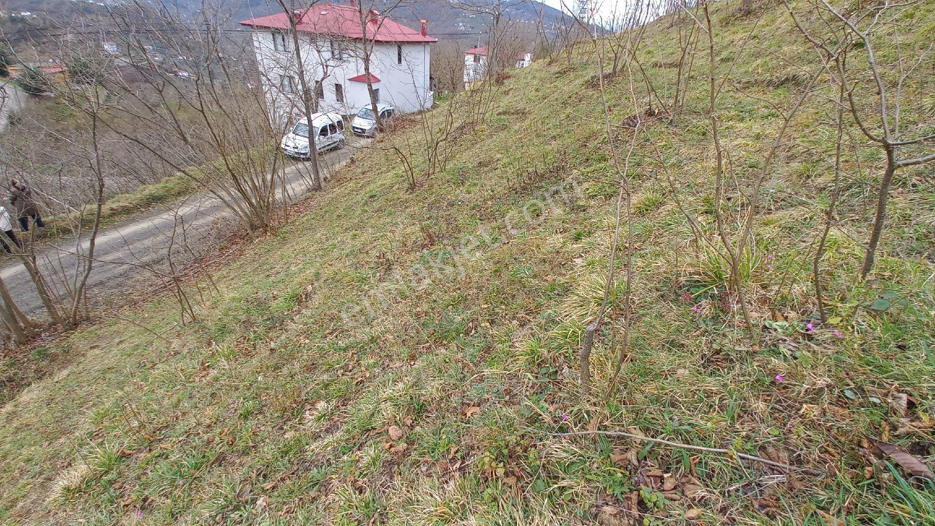 Beşikdüzü Ağaçlı'da Satılık 1.928 M2 Arazi - Görsel 9