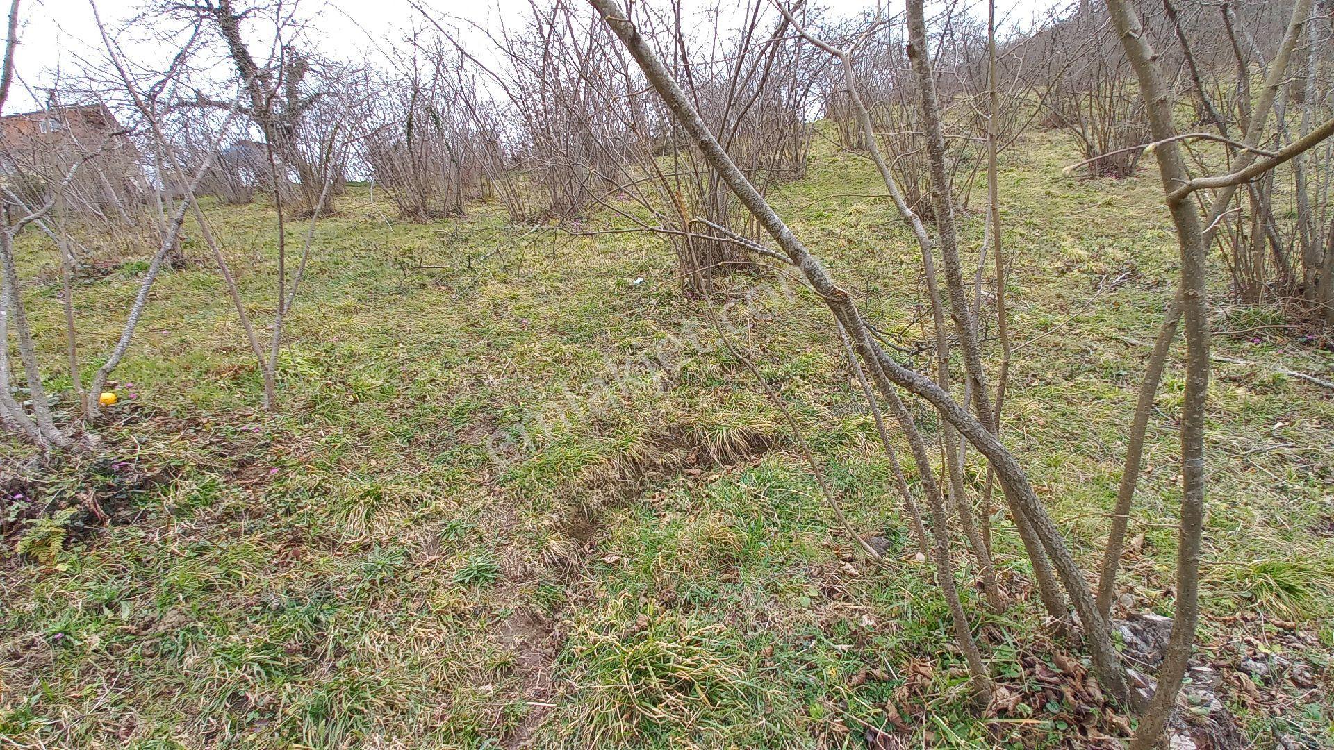 Beşikdüzü Ağaçlı'da Satılık 1.928 M2 Arazi - Görsel 15