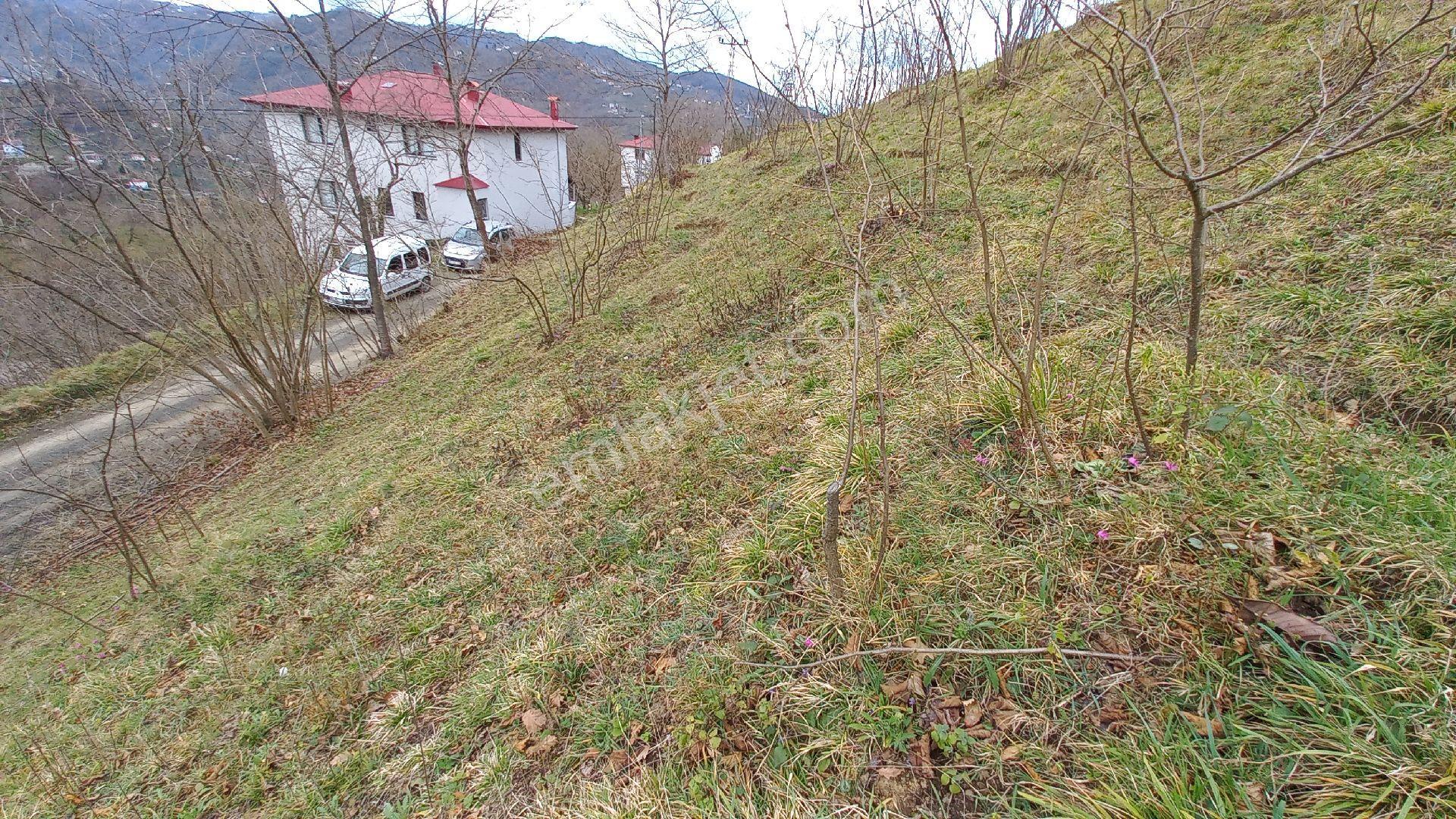 Beşikdüzü Ağaçlı'da Satılık 1.928 M2 Arazi - Görsel 7