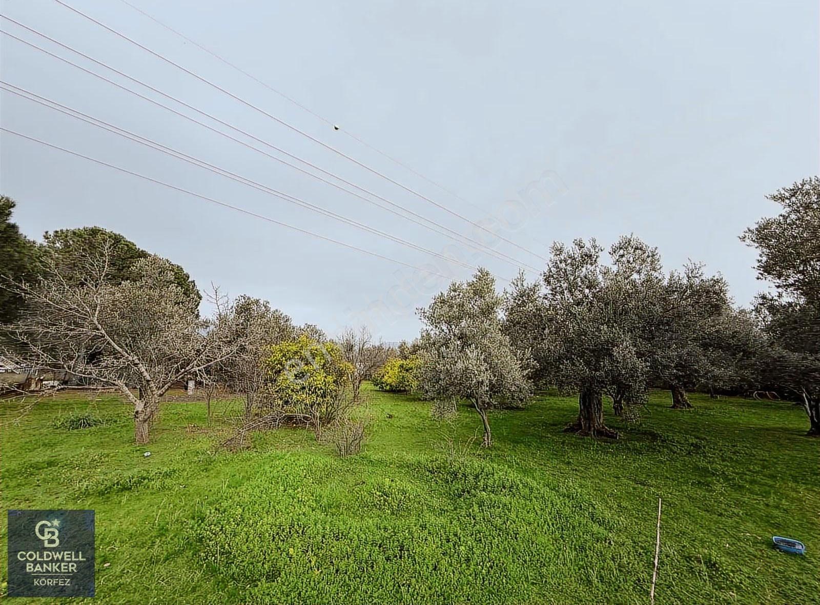 Kızılkeçili 5 Dönüm Özel Habitat İçinde Ruhsatlı Müstakil Villa - Görsel 35