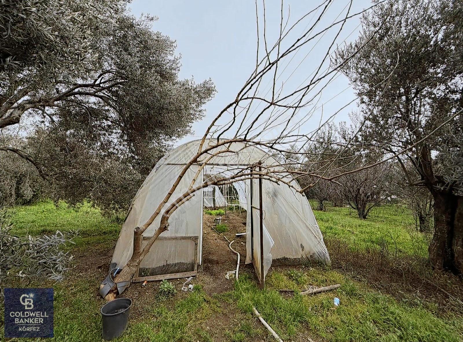 Kızılkeçili 5 Dönüm Özel Habitat İçinde Ruhsatlı Müstakil Villa - Görsel 12
