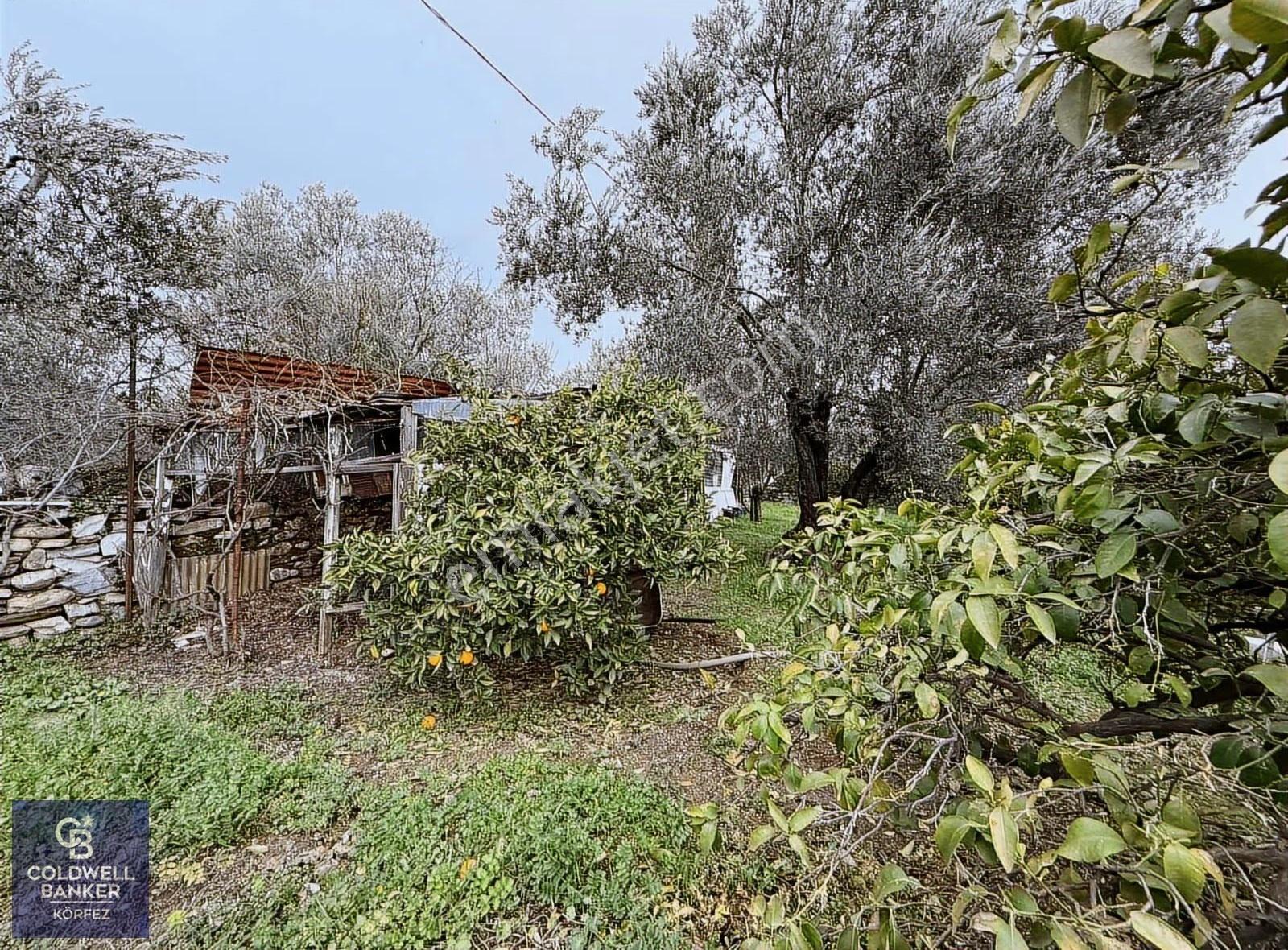 Kızılkeçili 5 Dönüm Özel Habitat İçinde Ruhsatlı Müstakil Villa - Görsel 34