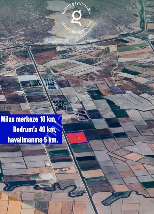 Milas Avşar Köy'ünde 27 Dönüm Tarla - Görsel 2