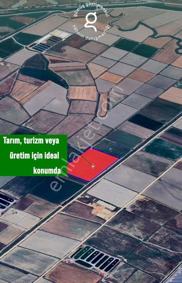 Milas Avşar Köy'ünde 27 Dönüm Tarla - Görsel 3