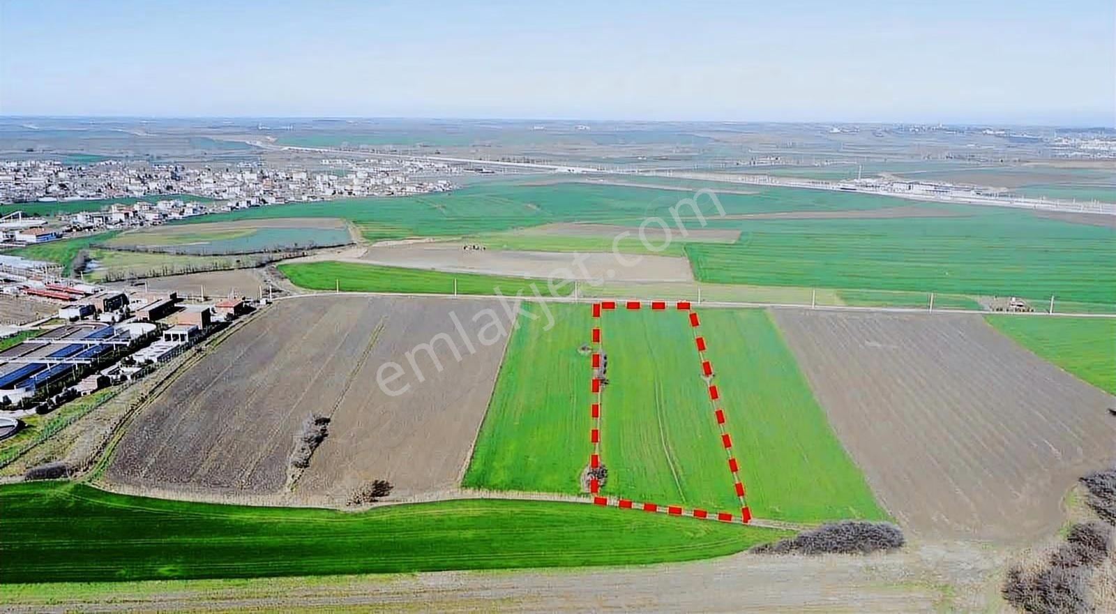 Durakta Satılık Uygun Fiyata İmara Yakın 15.142 M2 Tarla - Görsel 4