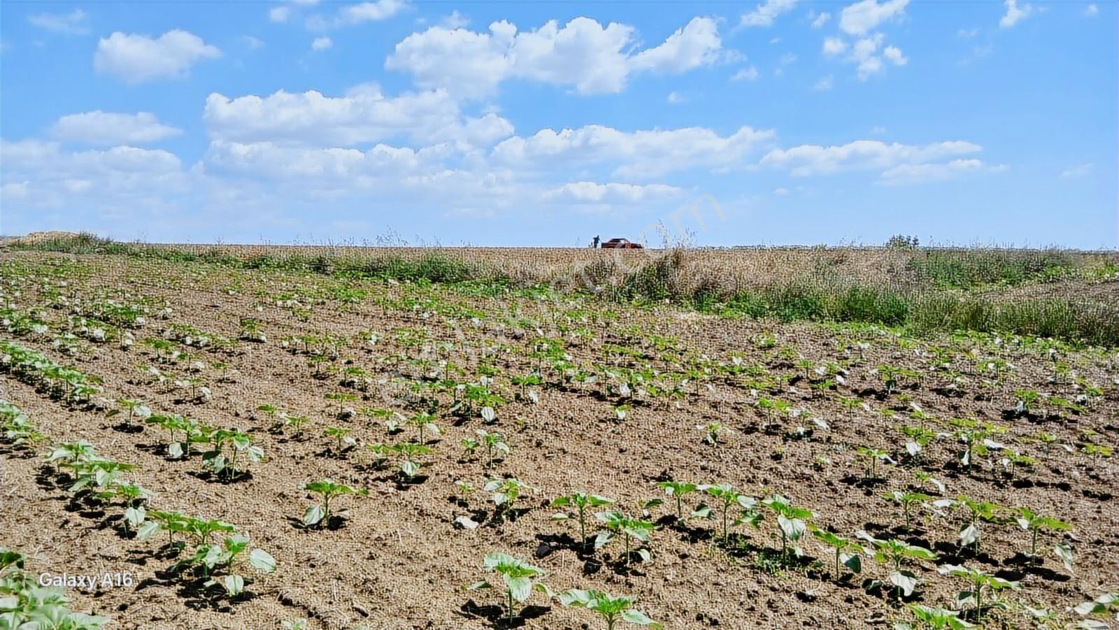 3 Adet Bitişik Hisse Uygun Fiyata - Görsel 9