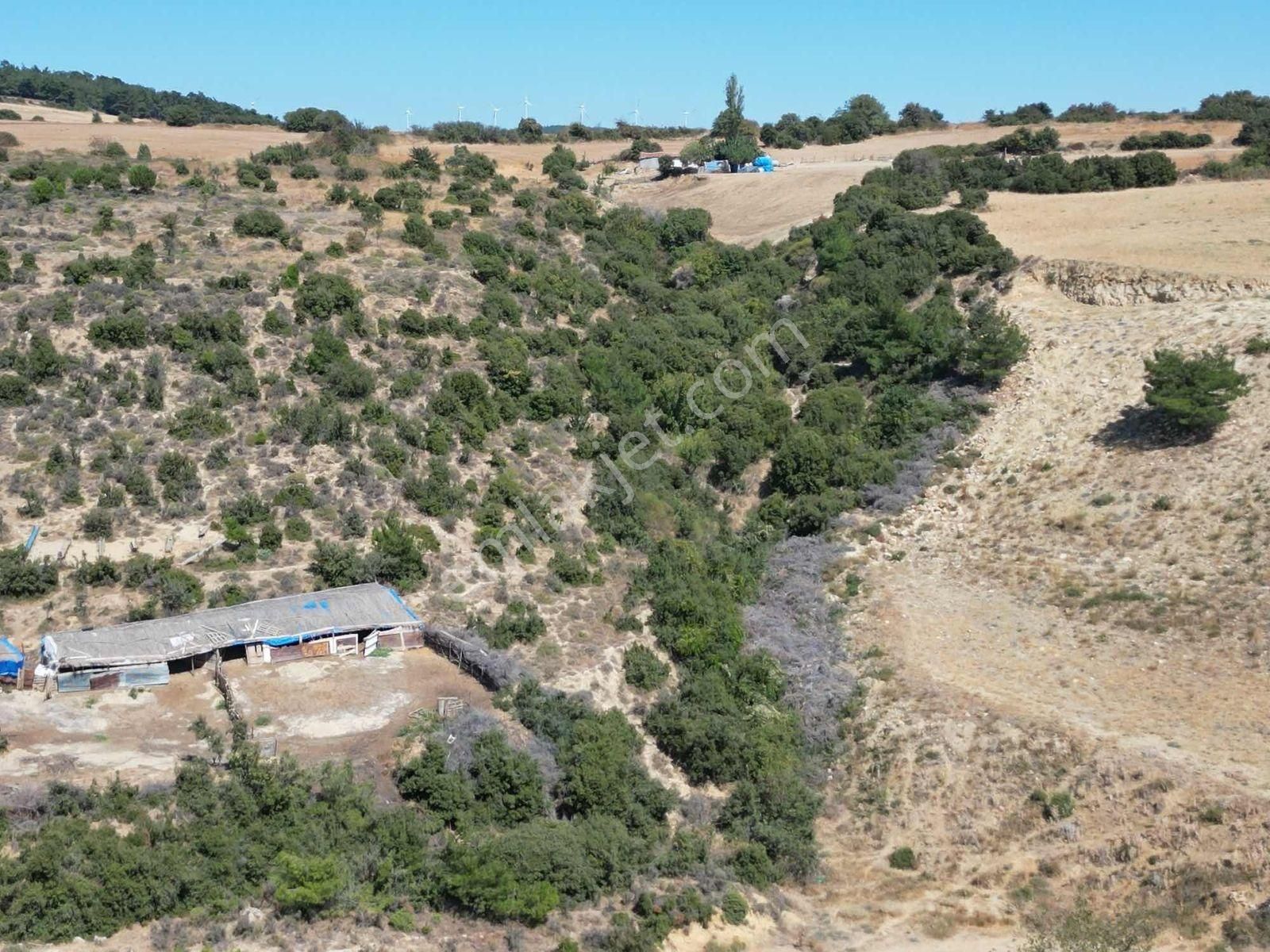Full Boğaz Manzaralı - Görsel 8