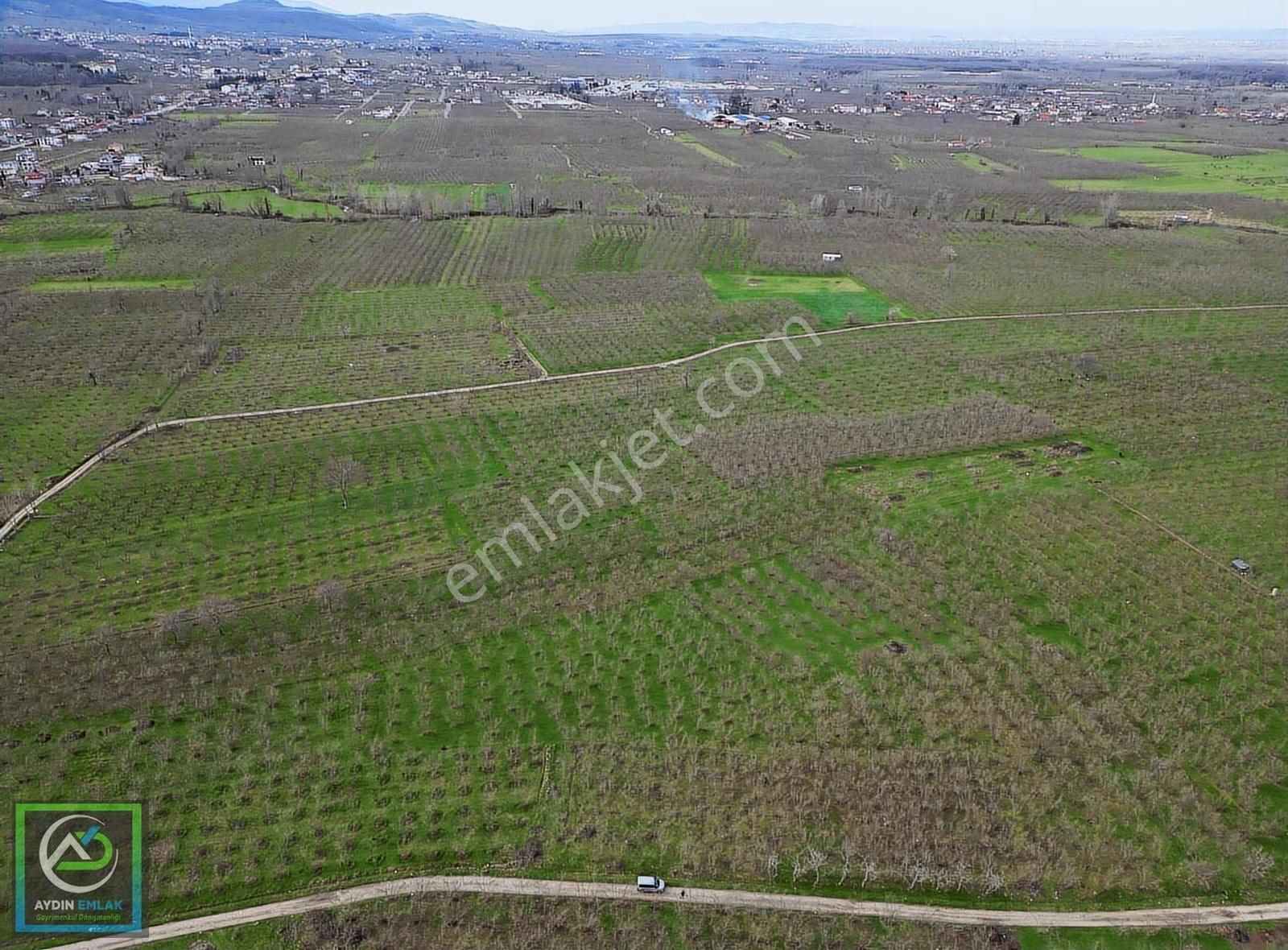 Küçücek İstiklal'de 6.159 M2 Fındık Bahçesi Satılık - Görsel 6