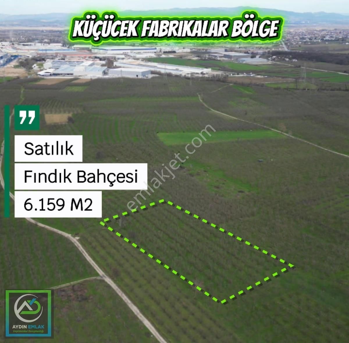 Küçücek İstiklal'de 6.159 M2 Fındık Bahçesi Satılık