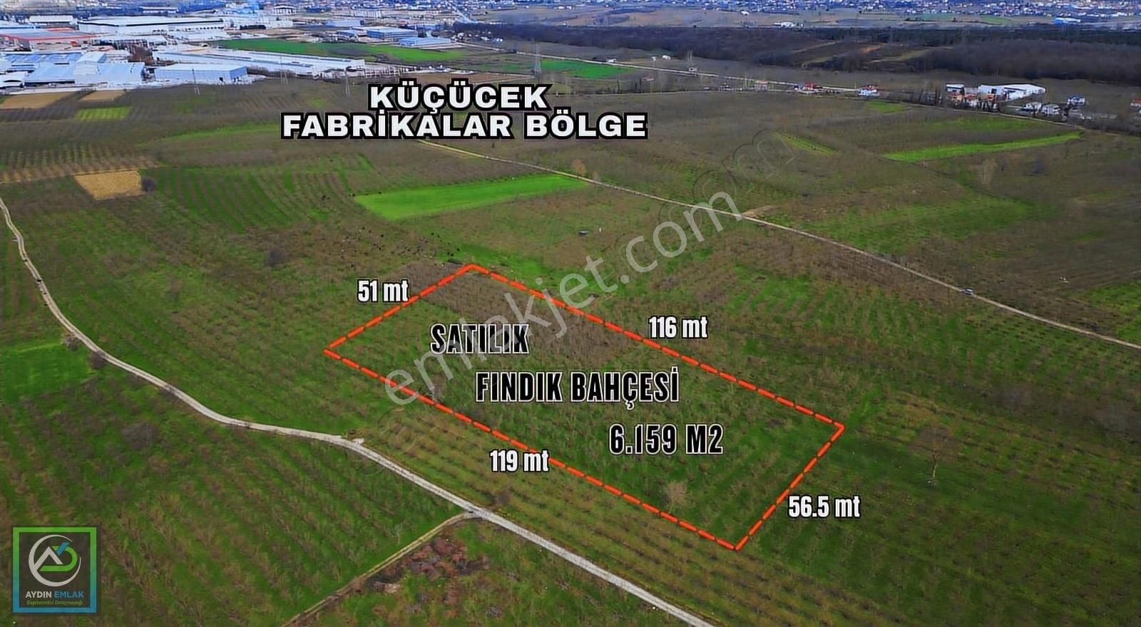 Küçücek İstiklal'de 6.159 M2 Fındık Bahçesi Satılık - Görsel 7