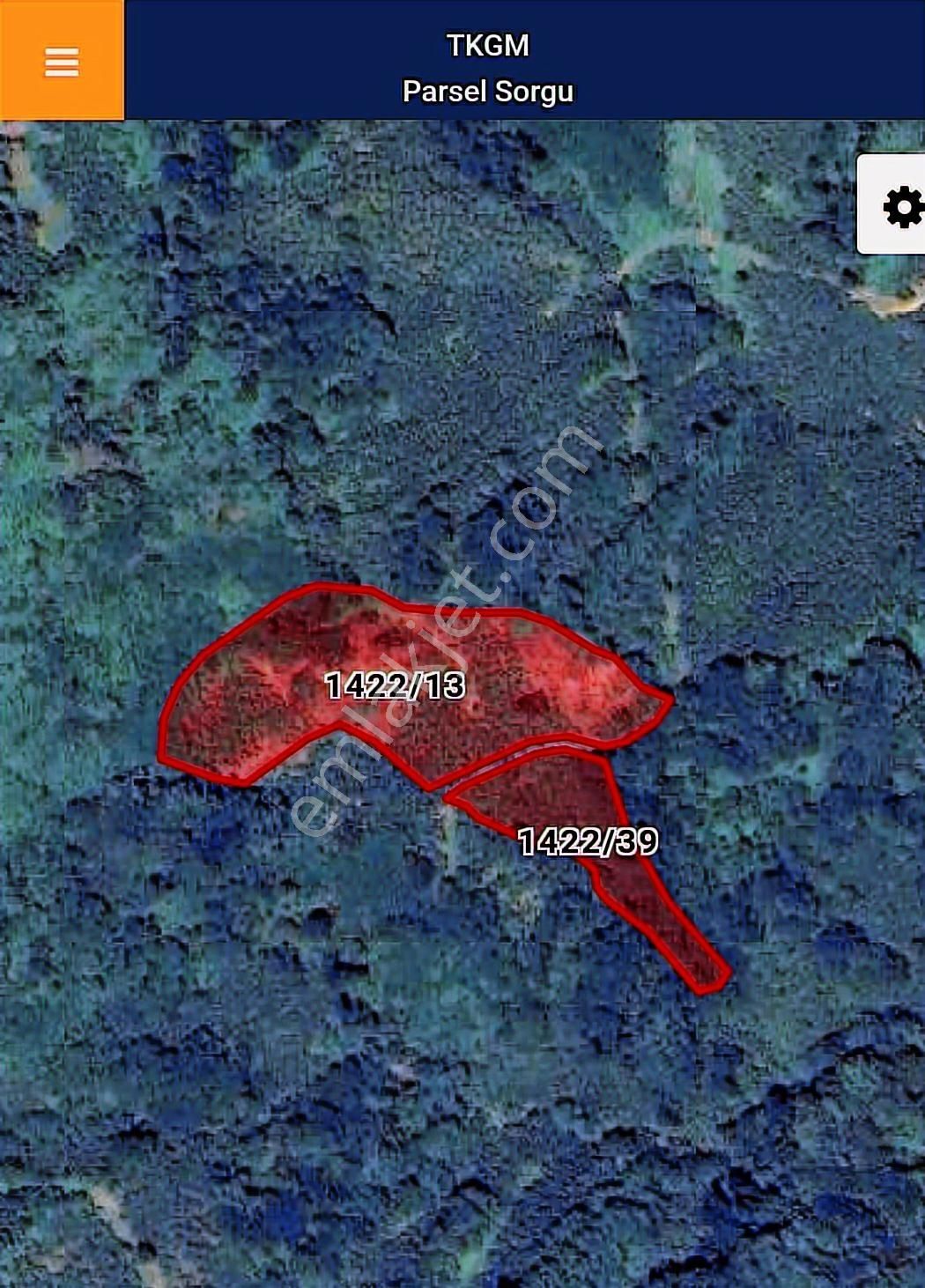Çaytepede Satılık 11.066 M2. Fırsat Verimli Fındık Bahçesi - Görsel 13