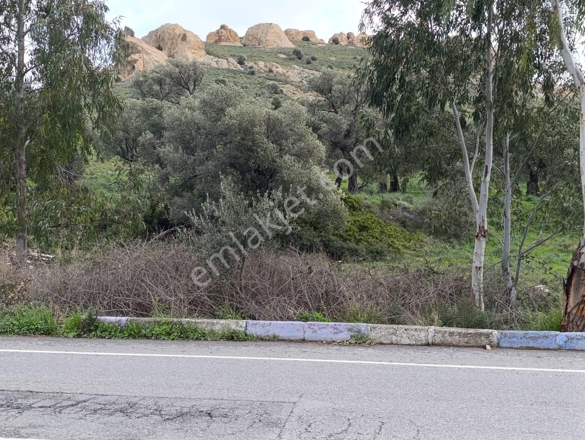 Foça Fevzipaşa Mah. Satılık 2183m2 Arsa - Görsel 5