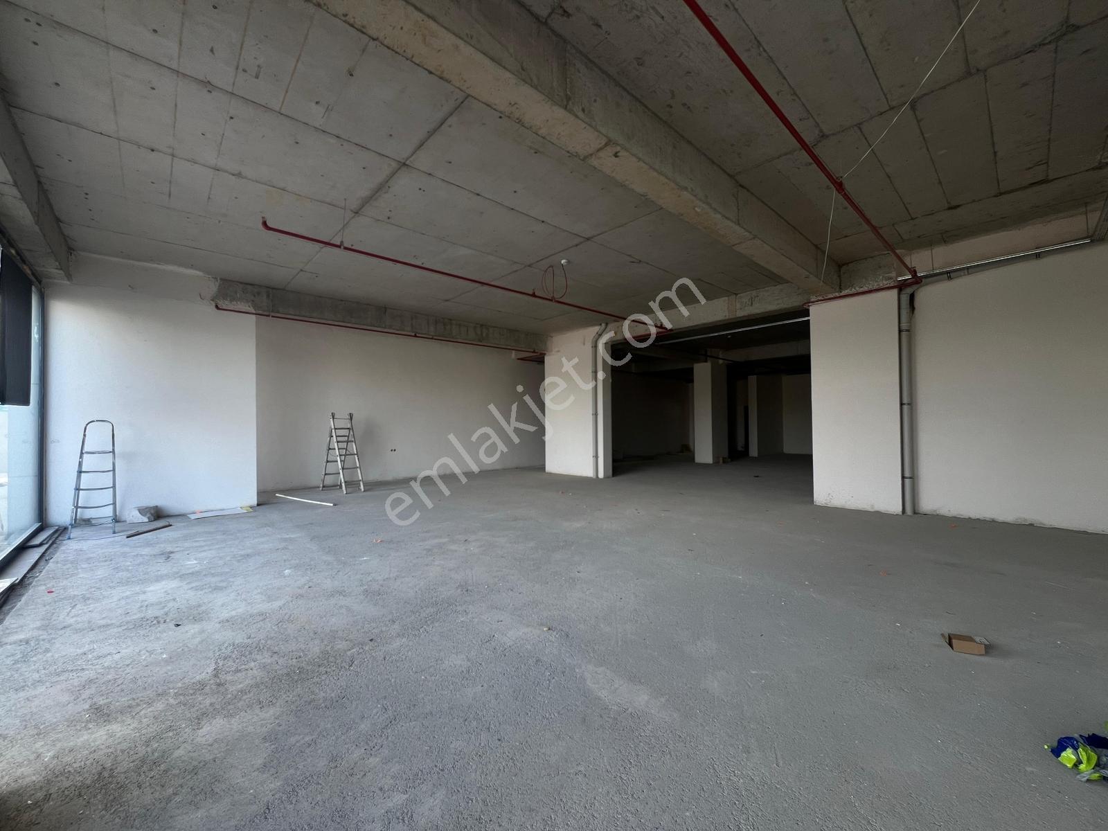 Serdivan Arabacı Alanı Mah. 240 M² Yola Cepheli Satılık Dükkan - Görsel 6