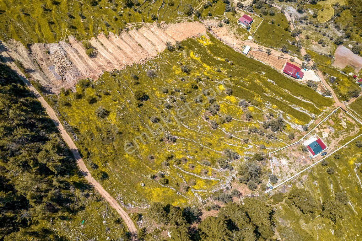 Bodrum Gökpınar Da 6420 M2 Köy İmarlı Tarla - Görsel 8
