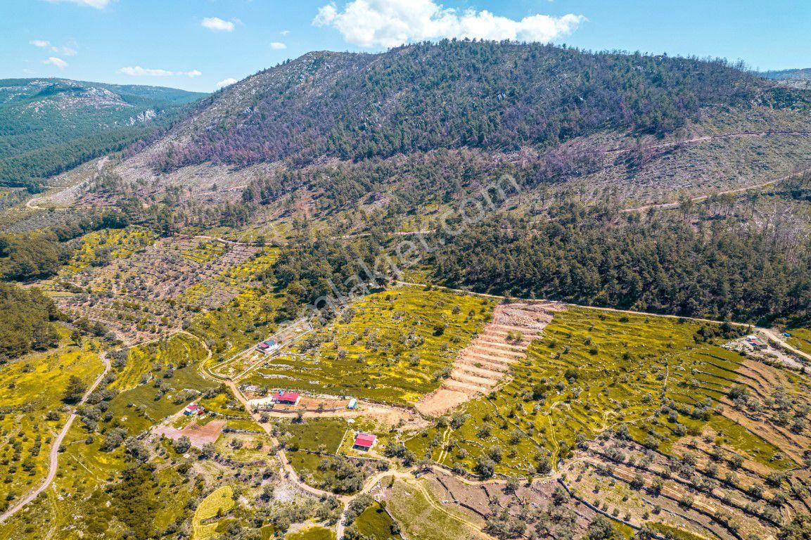 Bodrum Gökpınar Da 6420 M2 Köy İmarlı Tarla - Görsel 7