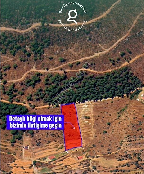 Bodrum Gökpınar Da 6420 M2 Köy İmarlı Tarla - Görsel 4