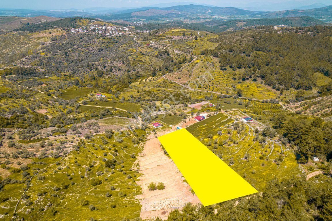 Bodrum Gökpınar Da 6420 M2 Köy İmarlı Tarla - Görsel 5