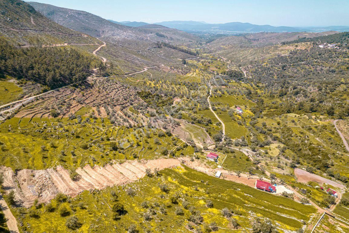 Bodrum Gökpınar Da 6420 M2 Köy İmarlı Tarla - Görsel 6