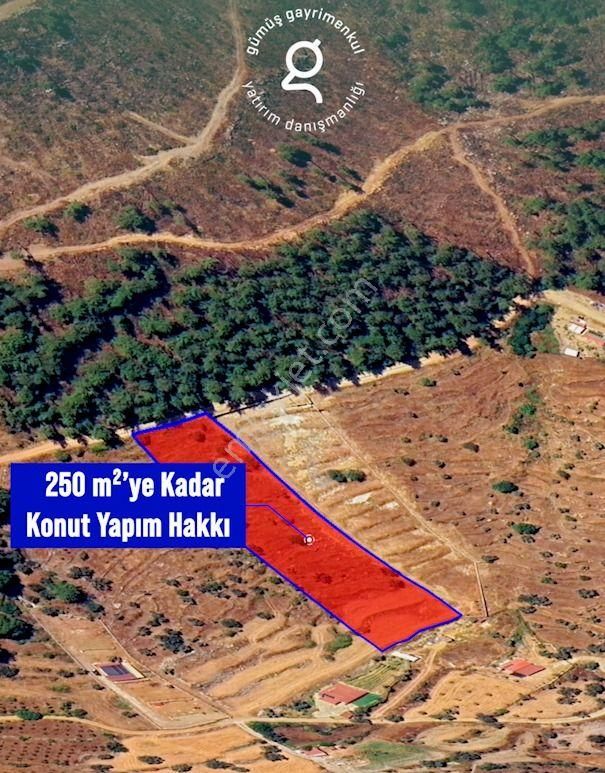 Bodrum Gökpınar Da 6420 M2 Köy İmarlı Tarla