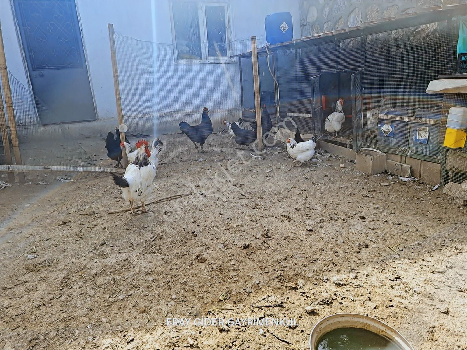 Gölhisar'da Müstakil Satılık Ev, Oturuma Hazır, Bahçeli - Görsel 19