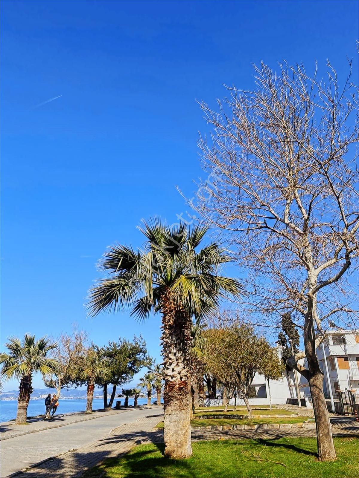 Denize 200 Mt Geniş Fırsat Daire - Görsel 12