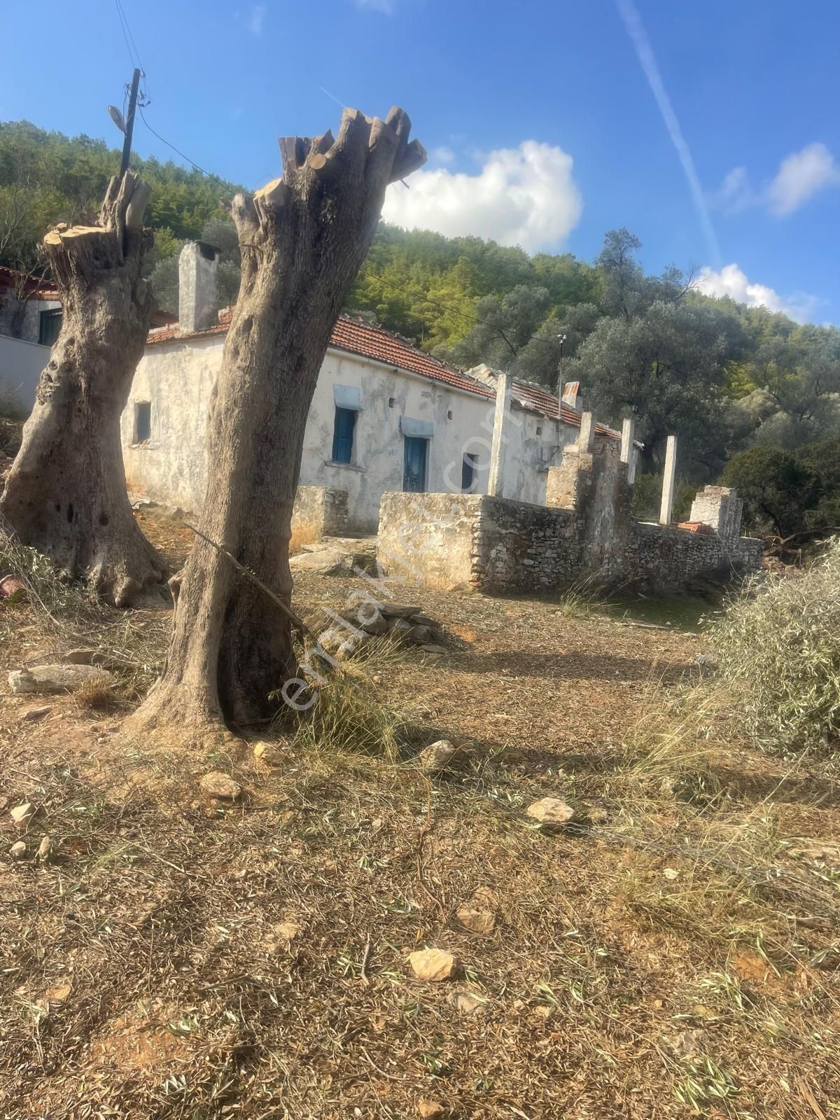 Bodrum Kızılağaç İçinde Kargir Ev Ve Avlusu Mevcut 786 M2 Arsa - Görsel 3