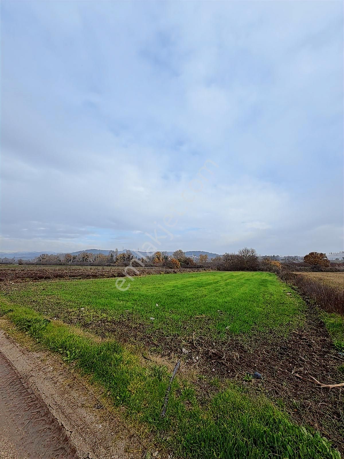 Bursa Nilüfer Çaylı Satılık Tarla