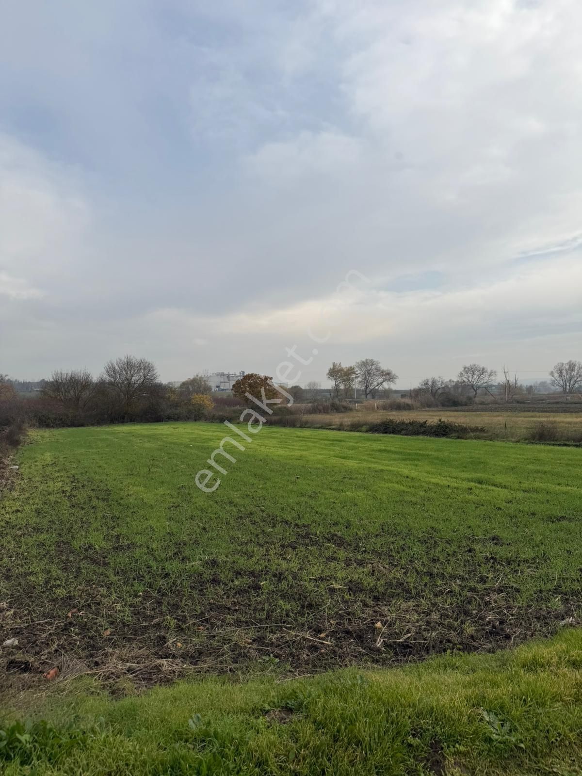 Bursa Nilüfer Çaylı Satılık Tarla - Görsel 3