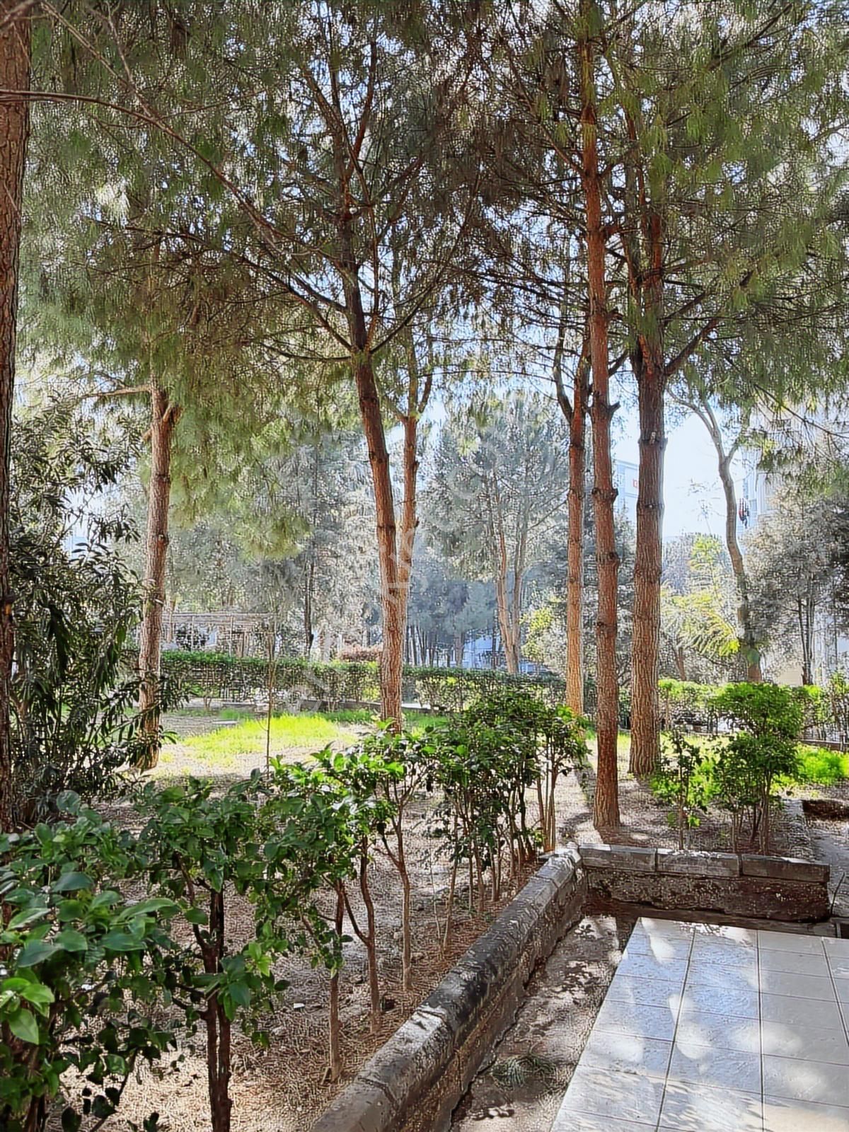 Ulukent'te Site İçinde Geniş Bakımlı Kombili 3+1 Daire G-38 - Görsel 19