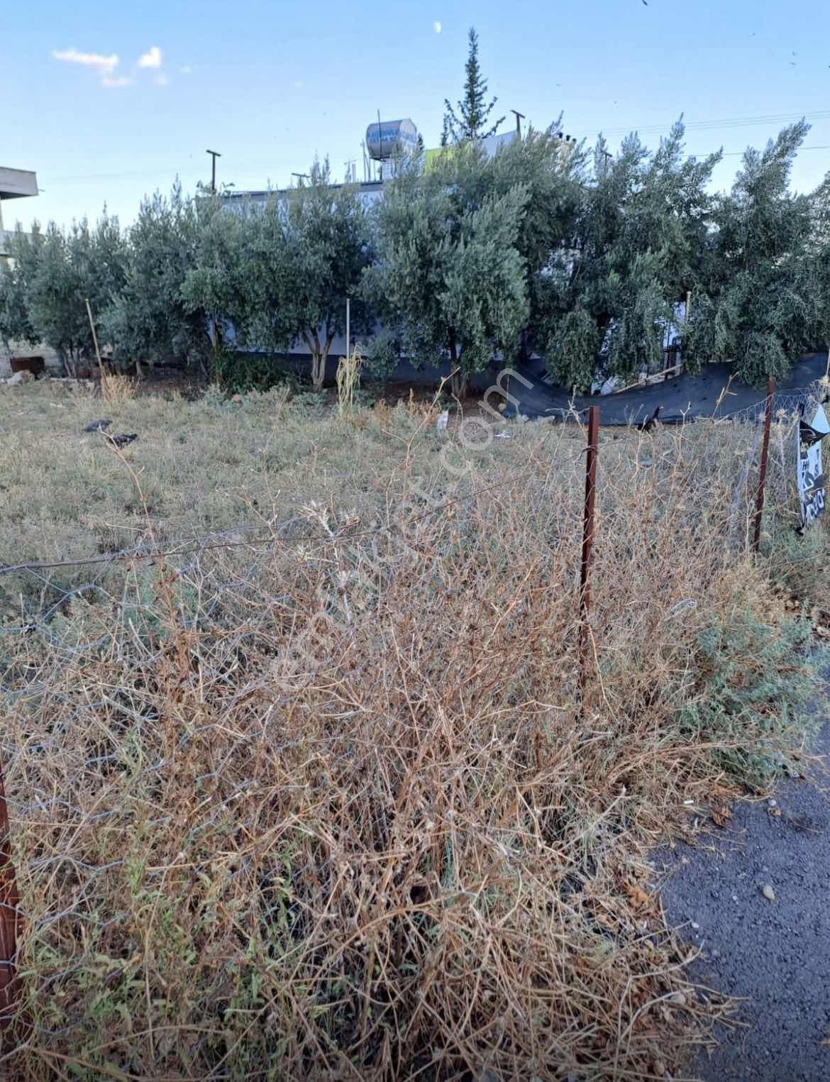 Cumhuriyet Mh. 433 M2 Arsa Acele Satılıktır - Görsel 3