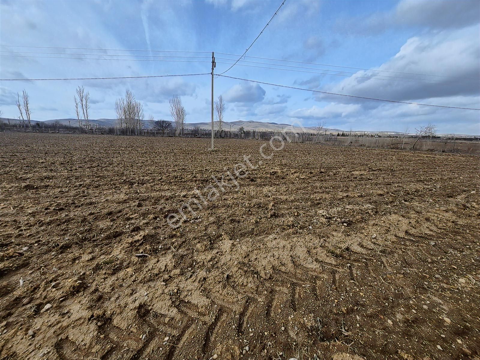 İlbey // Şuhut - Afyon Yolu Paralelinde 12.818 M² Kuyulu Tarla - Görsel 19