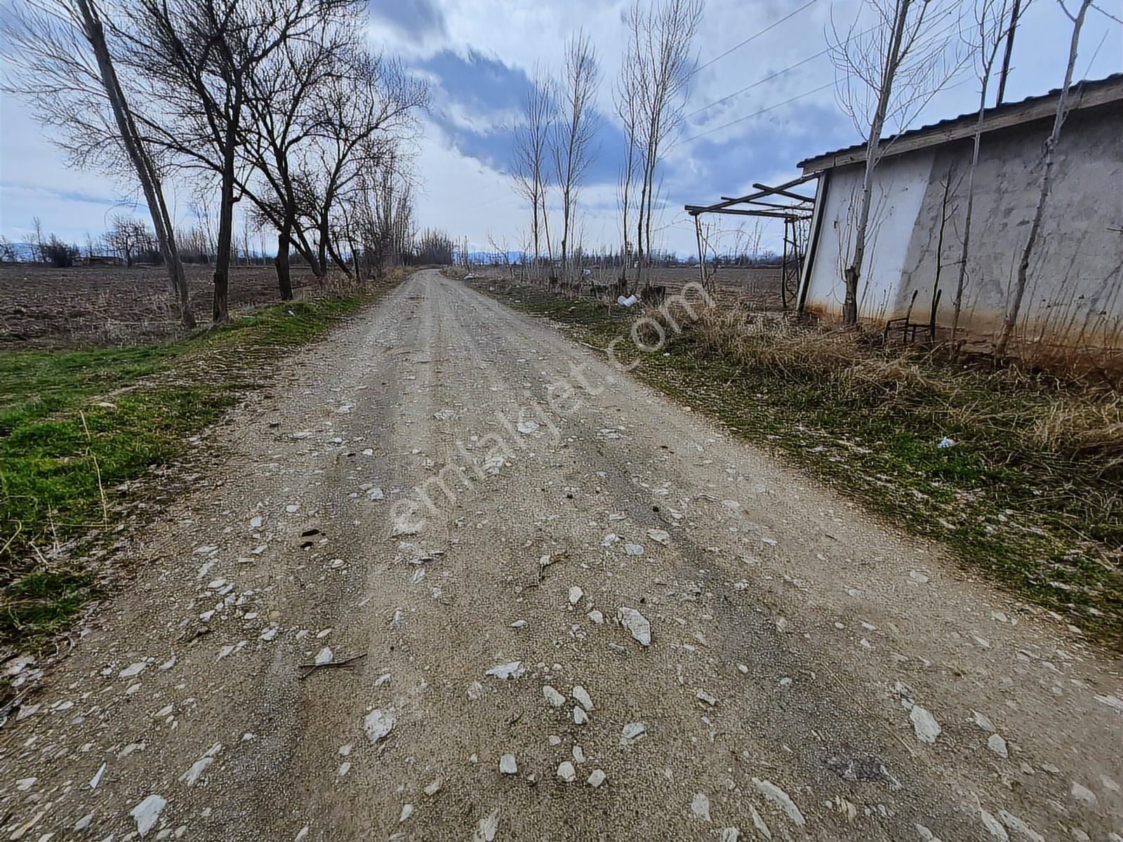 İlbey // Şuhut - Afyon Yolu Paralelinde 12.818 M² Kuyulu Tarla - Görsel 15