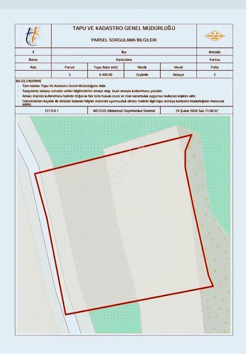 Bursa Karacabey Karasu Akbayır Mevkii Satılık 6.400 M2 Zeytinlik - Görsel 5