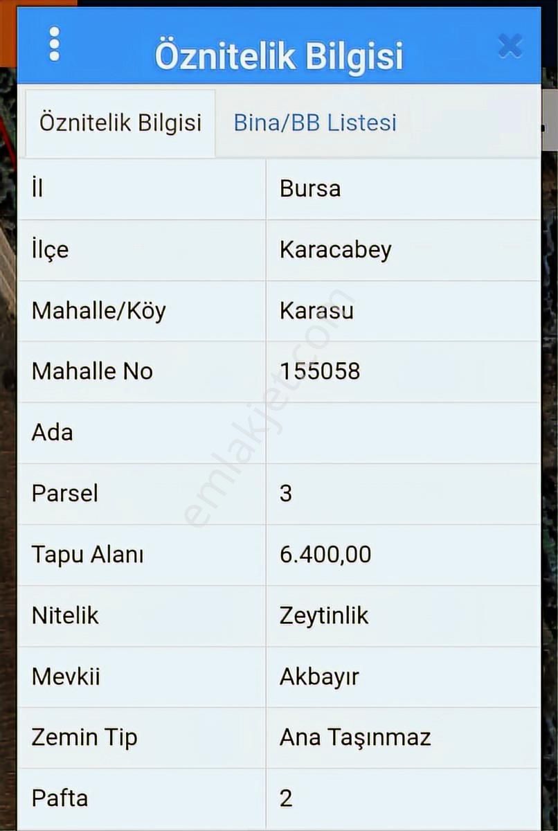 Bursa Karacabey Karasu Akbayır Mevkii Satılık 6.400 M2 Zeytinlik