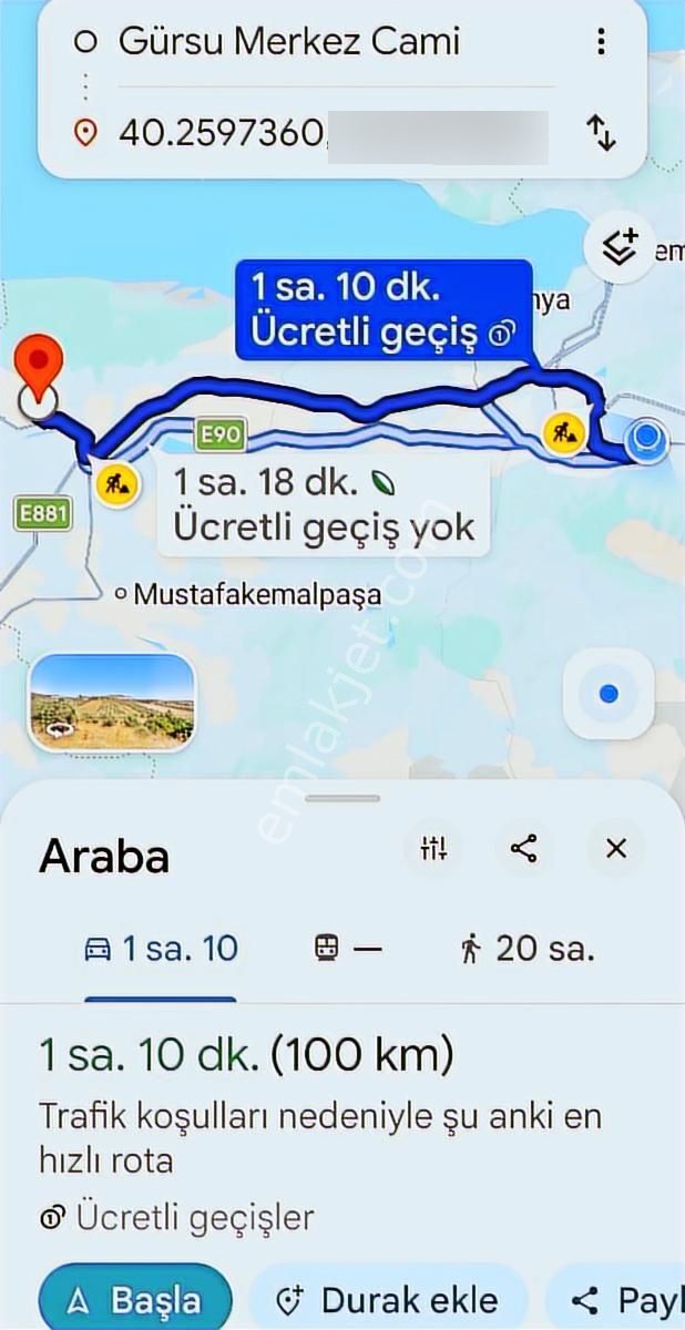 Bursa Karacabey Karasu Akbayır Mevkii Satılık 6.400 M2 Zeytinlik - Görsel 2