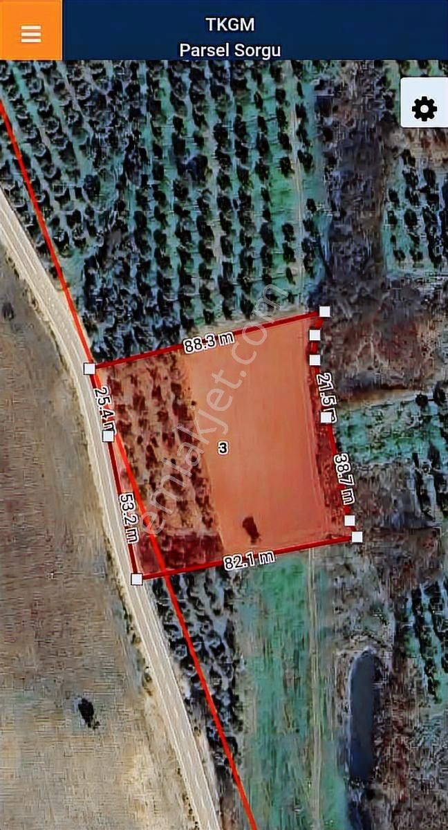 Bursa Karacabey Karasu Akbayır Mevkii Satılık 6.400 M2 Zeytinlik - Görsel 3