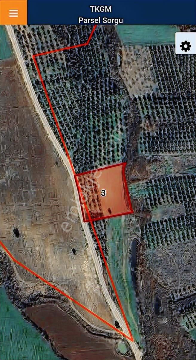 Bursa Karacabey Karasu Akbayır Mevkii Satılık 6.400 M2 Zeytinlik - Görsel 4