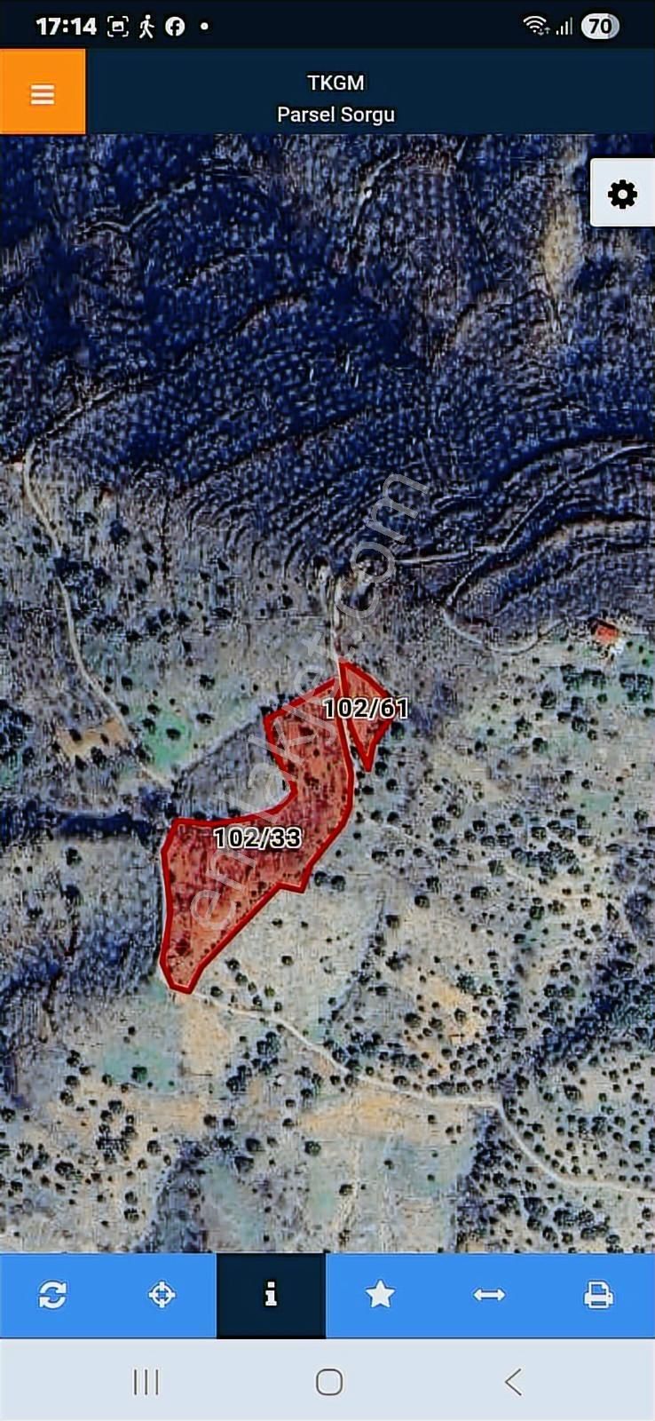 Aydın Nazilli Bekirler Köyünde Satılık Zeytin Ve İncir Bahçesi - Görsel 3