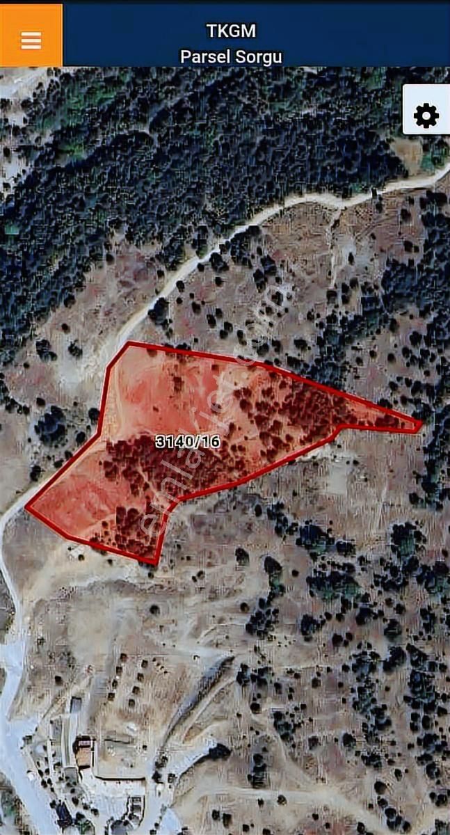 Bursa Gürsu Ericek Soğucak Mevkii Satılık 19.903 M2 Tarla - Görsel 2