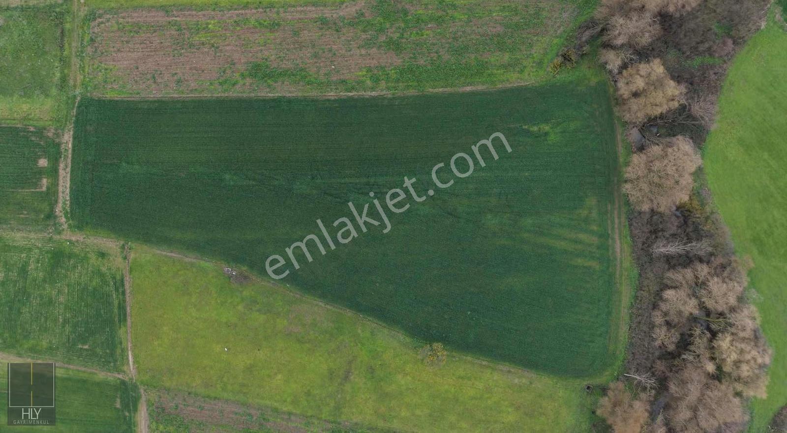 Hly Gayrimenkulden Akarsu Mah. De Satılık 5800 M2 Tarla - Görsel 4