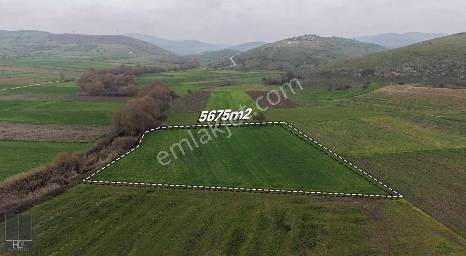 Hly'den Balıklı Mah De Anayola 75m Mesafede Satılık 5675m2 Tarla - Görsel 10