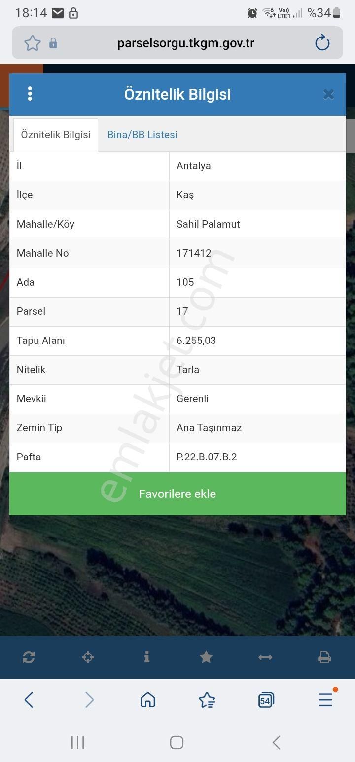 Kaş Sahil Palamut Kele