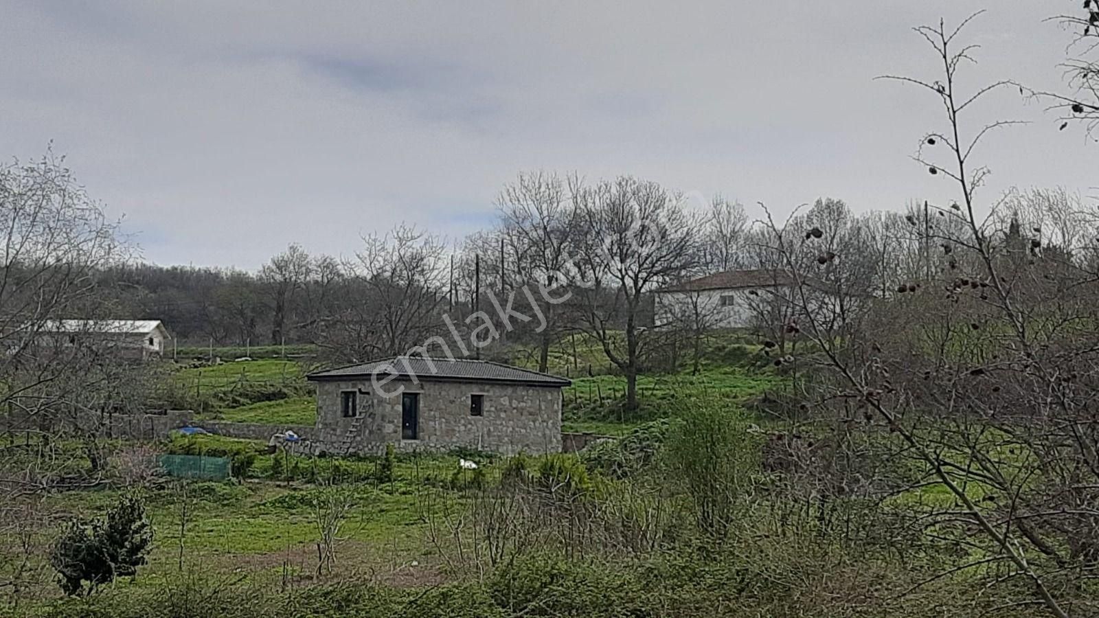 Çanakkale Biga’da Yatırıma Uygun Satılık Tarla - Görsel 8