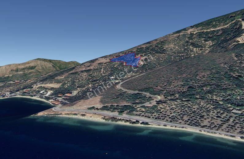 Balıkesir Erdek Narlı Mah. 4.420 M2 Satılık Zeytinlik Deniz Manzaralı Yatırımlık İmarlı - Görsel 9