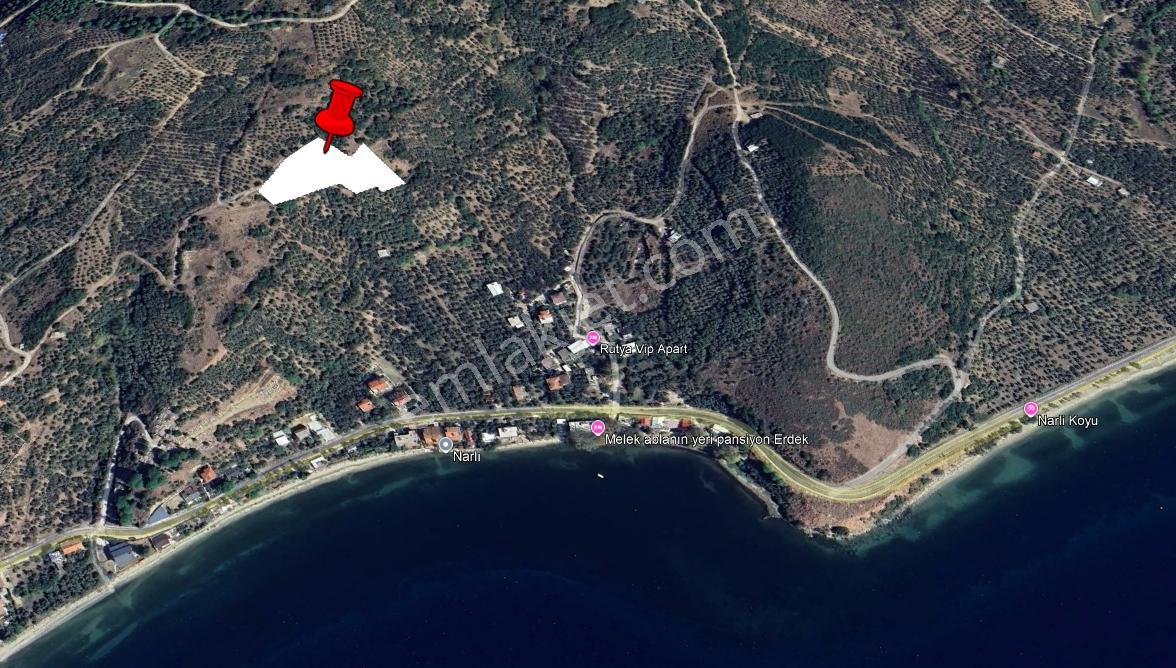 Balıkesir Erdek Narlı Mah. 4.420 M2 Satılık Zeytinlik Deniz Manzaralı Yatırımlık İmarlı - Görsel 5