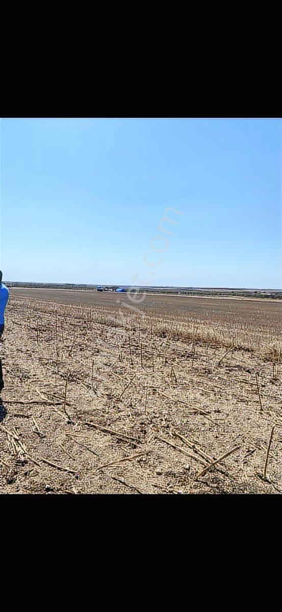 Tekirdağ Kadıköy'de 294 M2 Arsamız Çaplı Ve Muvakatneme Si Mevcu - Görsel 6