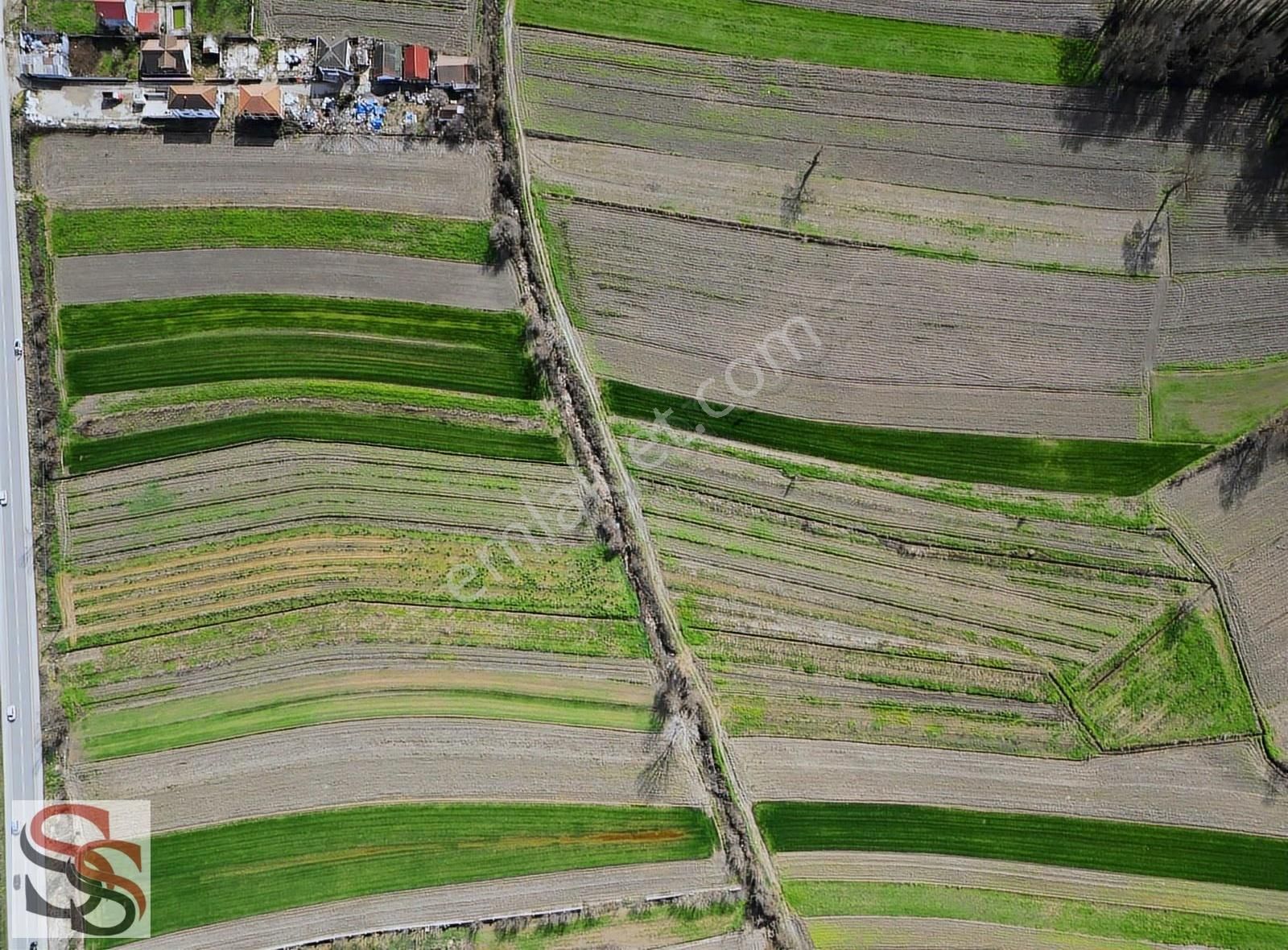 Akyazı Osmanbey Mahallesinde 6.020 M² Yatırımlık Tarla - Görsel 11