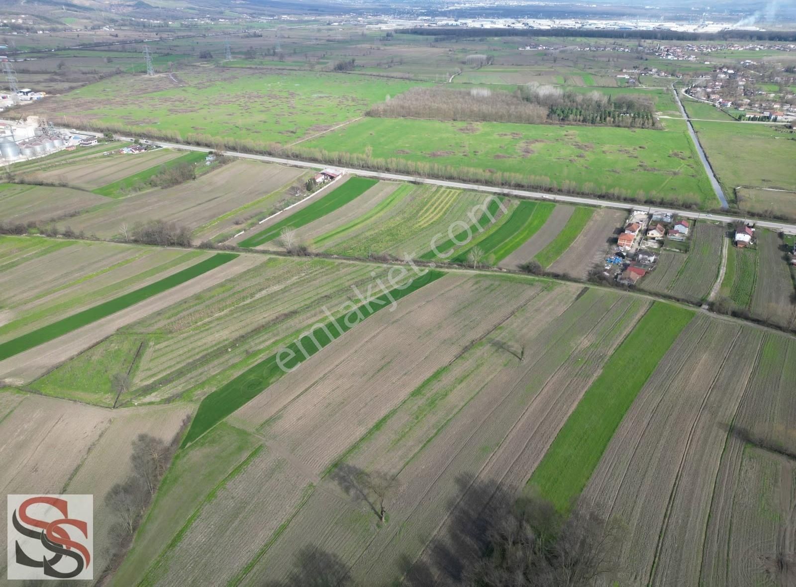Akyazı Osmanbey Mahallesinde 6.020 M² Yatırımlık Tarla - Görsel 25